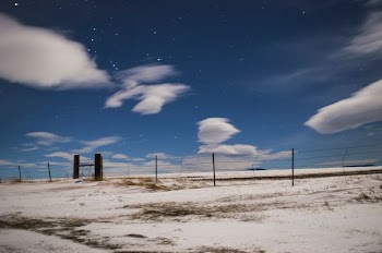 gray metal fence on desert under white cloudy sky