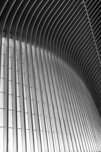 Gray Metal Framed Structure