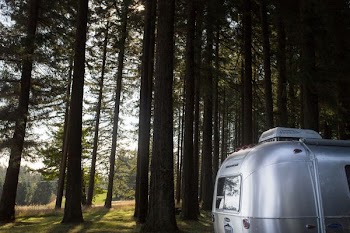 gray metal trailer beside green trees during daytime