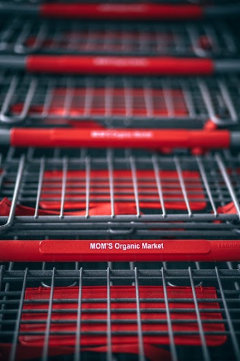 Gray Mom's Organic Market Shopping Cart