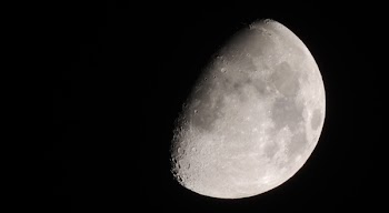 Gray Moon