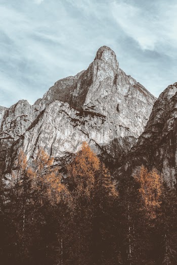 Gray Mountain