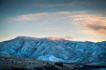 Gray Mountain