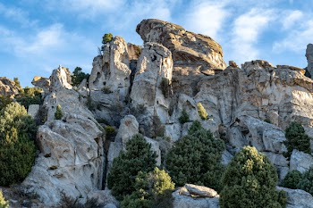 Gray Mountain Cliff With Green Plants