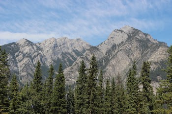 Gray Mountain Near Green Leafed Trees