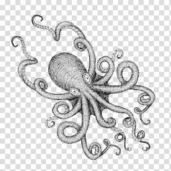 Gray octopus , Octopus Drawing Sea monster Illustration, Black and white Octopus monster cartoon illustrations transparent background PNG clipart