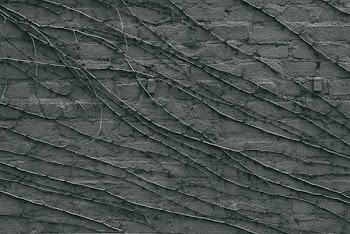 gray painted brick wall