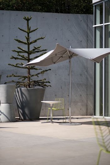 gray patio umbrella beside green pine tree