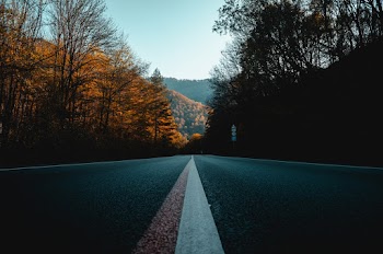 Gray Paved Road Between Trees