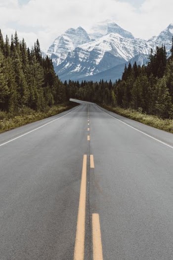gray pavement road surrounded by trees taken at daytime