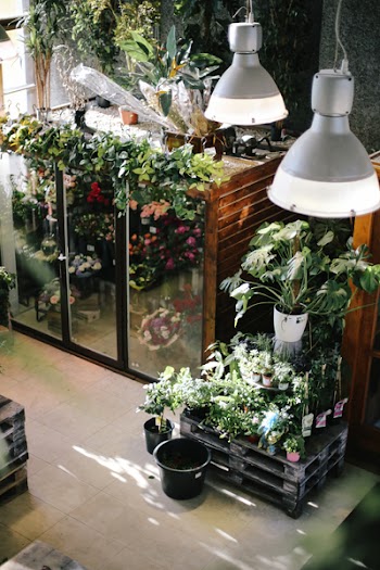 Gray Pendant Lamps