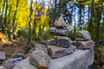 Gray Pile of Stones Near Trees
