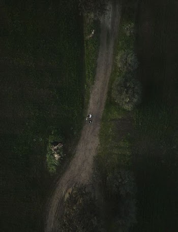 gray road between green leafed trees and grass