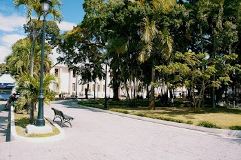 Gray Road Path
