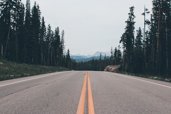 Gray Road Surrounded by Trees