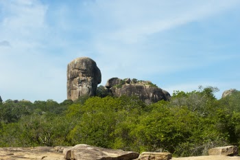 Gray Rock Mountain Covered With Trees