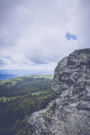 Gray Rock Mountain Hill With Aerial View of Pine Tree Field