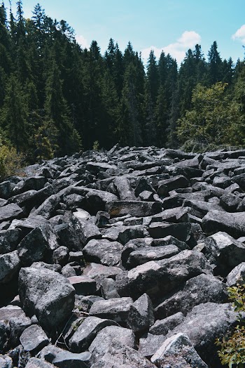 Gray Rocks Beside Trees