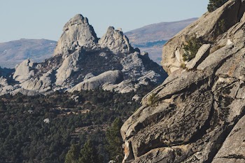 Gray Rocky Mountains Surrounded With Trees