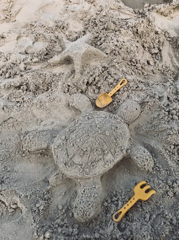 Gray Sand