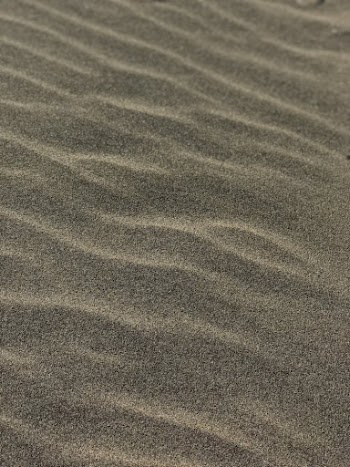 Gray Sand with Ripples