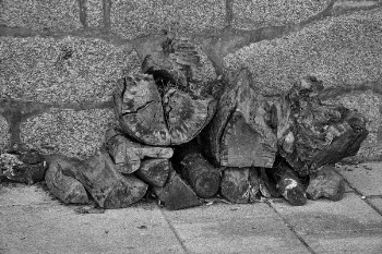 Gray Scale Logs Photography