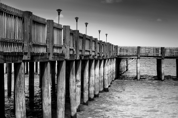 Gray Scale Photo of a Dock