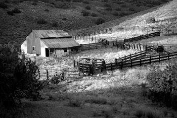 Gray Scale Photo of House on Field