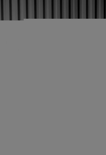 Gray-scale Photo of Man