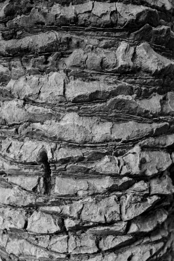Gray Scale Photo of Rock Formation · Free Stock Photo