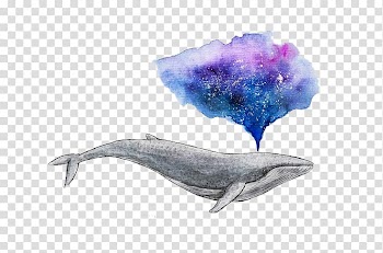 Gray shark illustration, Watercolor painting Drawing Whale Art, Water whale transparent background PNG clipart