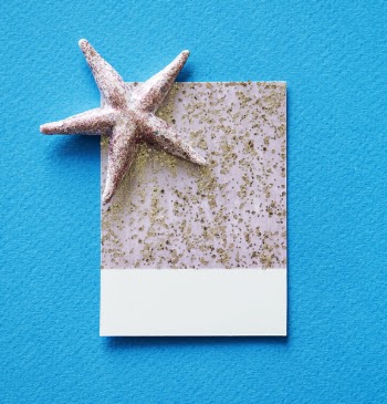 Gray Starfish and White and Gray Paper on Blue Surface