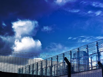 Gray Steel Barbwire