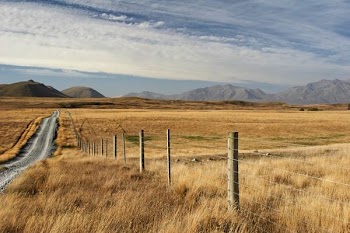 gray steel fence on brown grass field