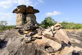 Gray Stone Formation