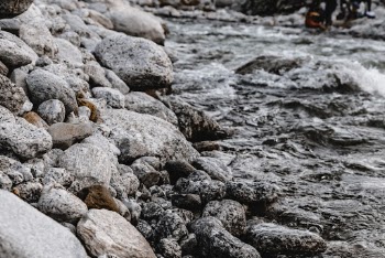 Gray Stone Near Body of Water