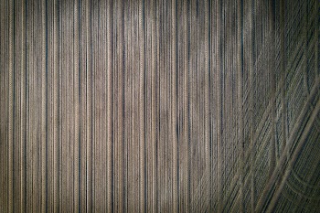 Gray Textile