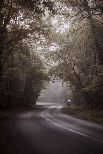 gray top road at day time
