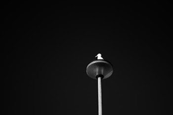 Gray Tower at Night