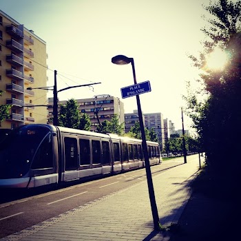 Gray Tram