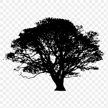 Gray tree png sticker nature | Free PNG - rawpixel