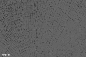 Gray tree rings textured blog banner background | Free  photo - 2294162