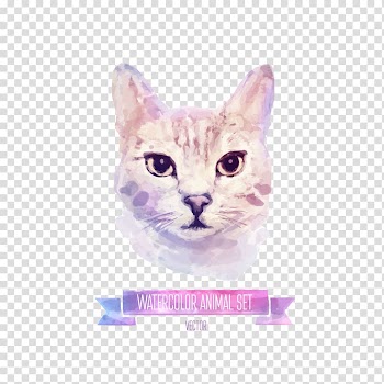Gray watercolor animal set illustration, Cat Kitten Watercolor painting Illustration, Watercolor cat transparent background PNG clipart