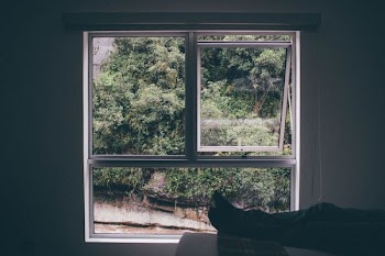 gray window and green trees at daytime