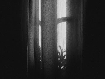 Gray Window Curtain