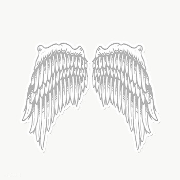 Gray wings outline sticker overlay with a white border design element | Free  transparent png - 2356976