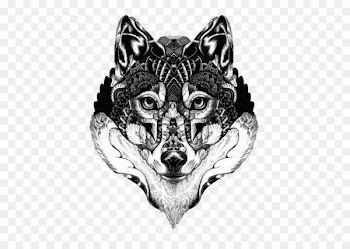 Gray wolf Art Drawing Illustration - Langtou Tattoo 
