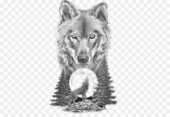 Gray wolf Art In Motion Tattoo Studio Tattoo artist Drawing - Sketch animal wolf 