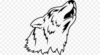 Gray wolf Cartoon Drawing - wolf-vector- 