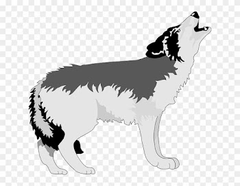Gray Wolf Clipart